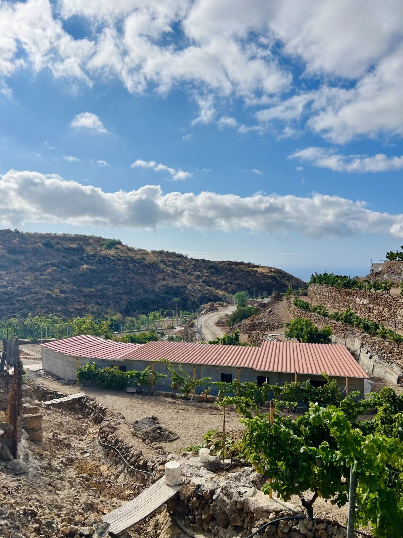 Land for sale in Granadilla de Abona, El Salto - 3