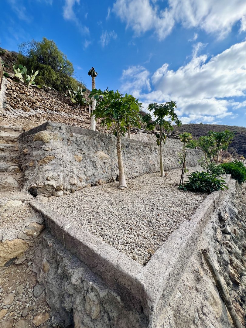 Land for sale in Granadilla de Abona, El Salto - 4