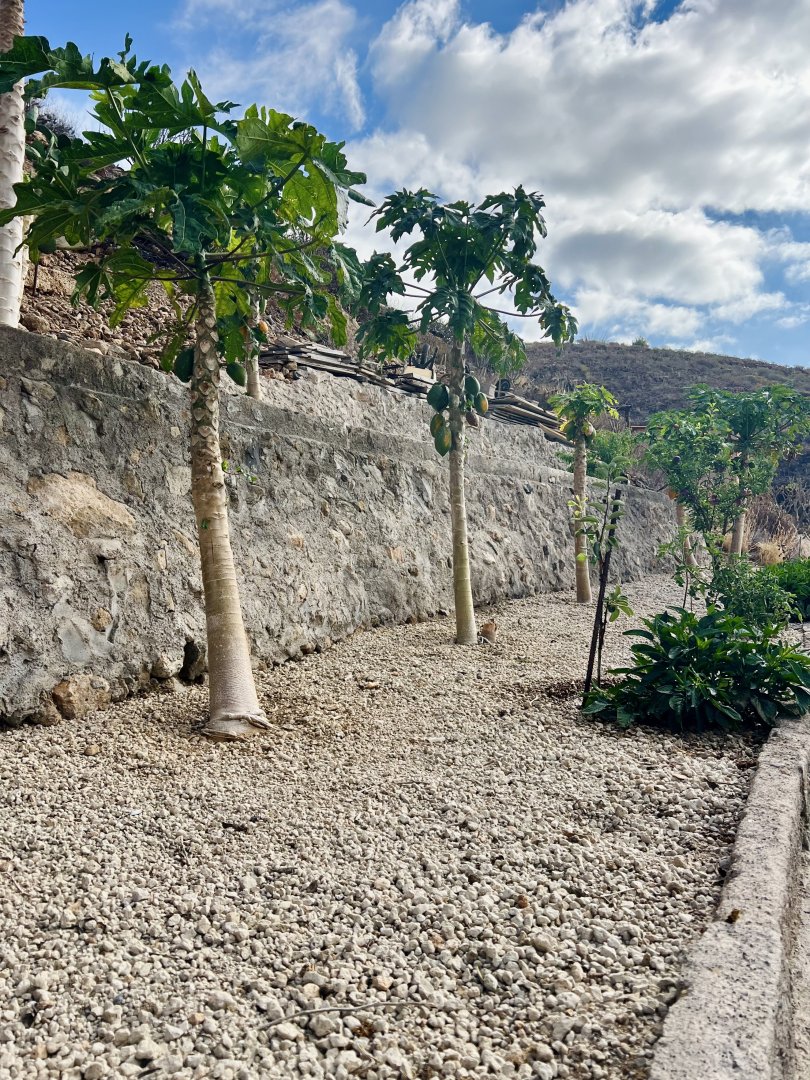 Land for sale in Granadilla de Abona, El Salto - 5