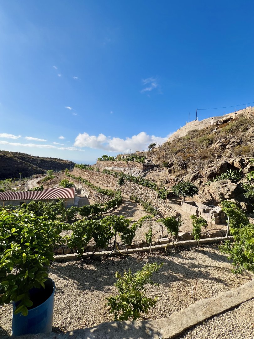 Land for sale in Granadilla de Abona, El Salto - 6