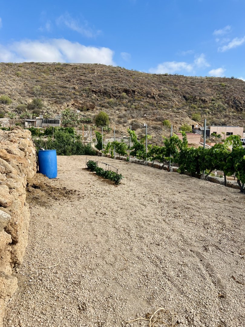 Land for sale in Granadilla de Abona, El Salto - 8