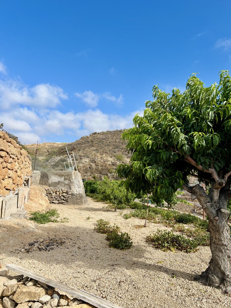Land for sale in Granadilla de Abona, El Salto - 9