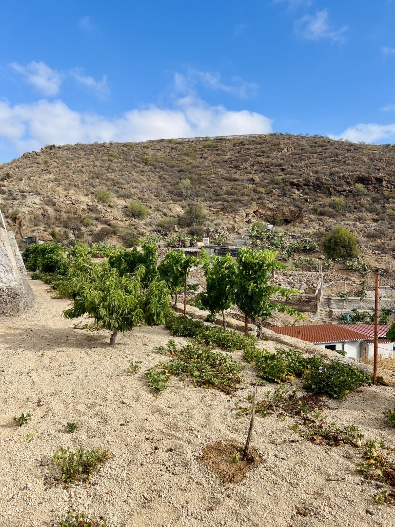 Land for sale in Granadilla de Abona, El Salto - 10