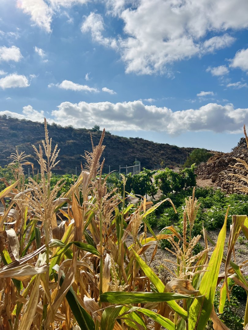 Land for sale in Granadilla de Abona, El Salto - 35
