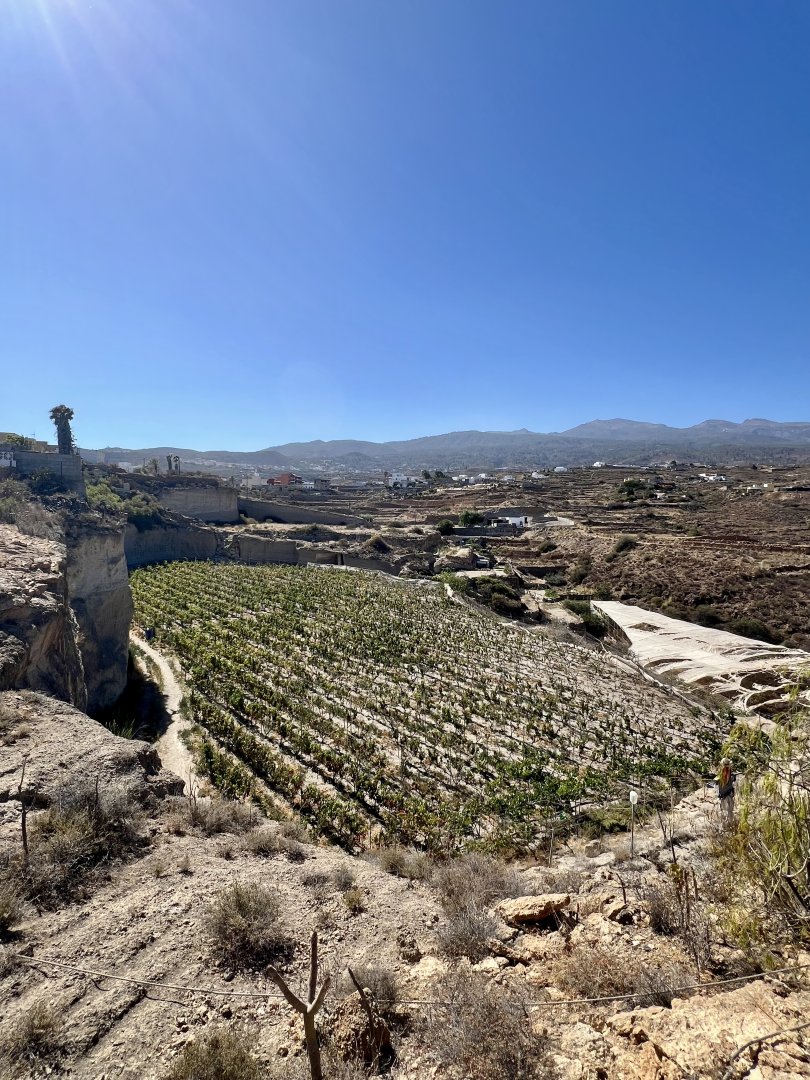 Grundstück zum Verkauf in Granadilla de Abona, El Desierto - 8