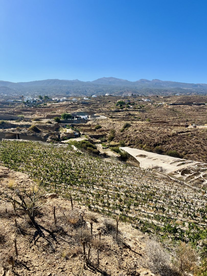 Grundstück zum Verkauf in Granadilla de Abona, El Desierto - 9