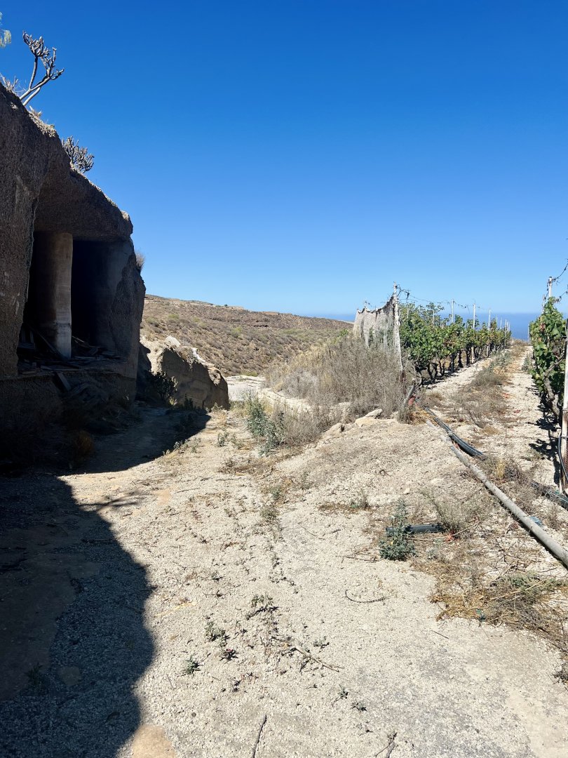 Grundstück zum Verkauf in Granadilla de Abona, El Desierto - 14