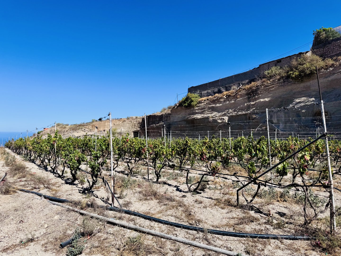 Grundstück zum Verkauf in Granadilla de Abona, El Desierto - 15