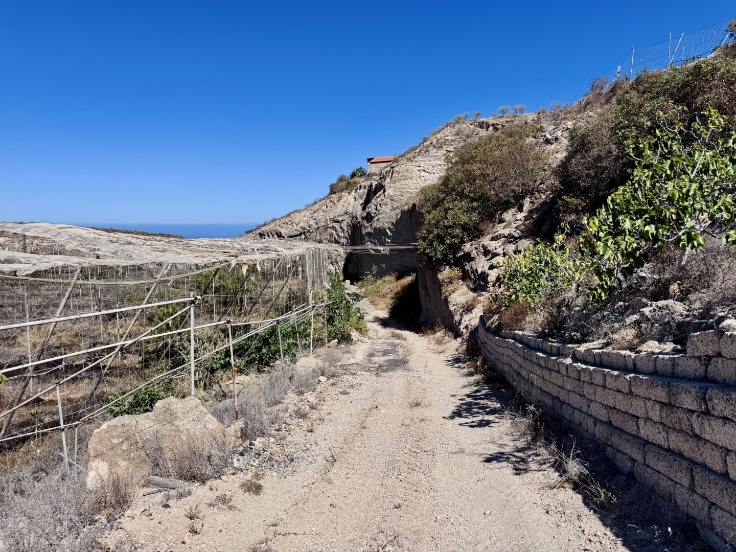 Grundstück zum Verkauf in Granadilla de Abona, El Desierto - 16